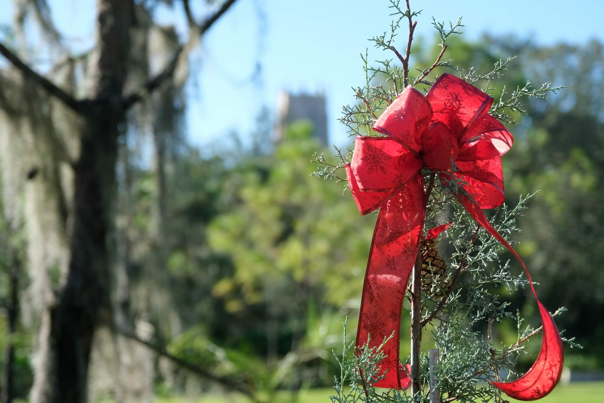 Bok Tower Gardens holiday tree. 
