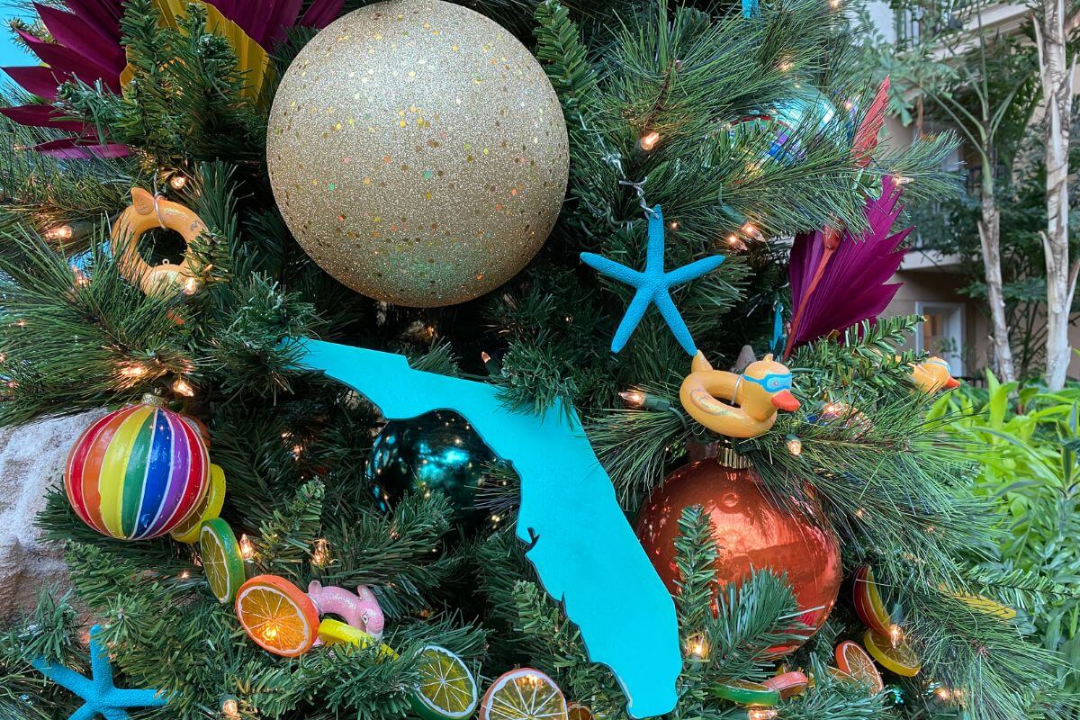 Florida Christmas Tree