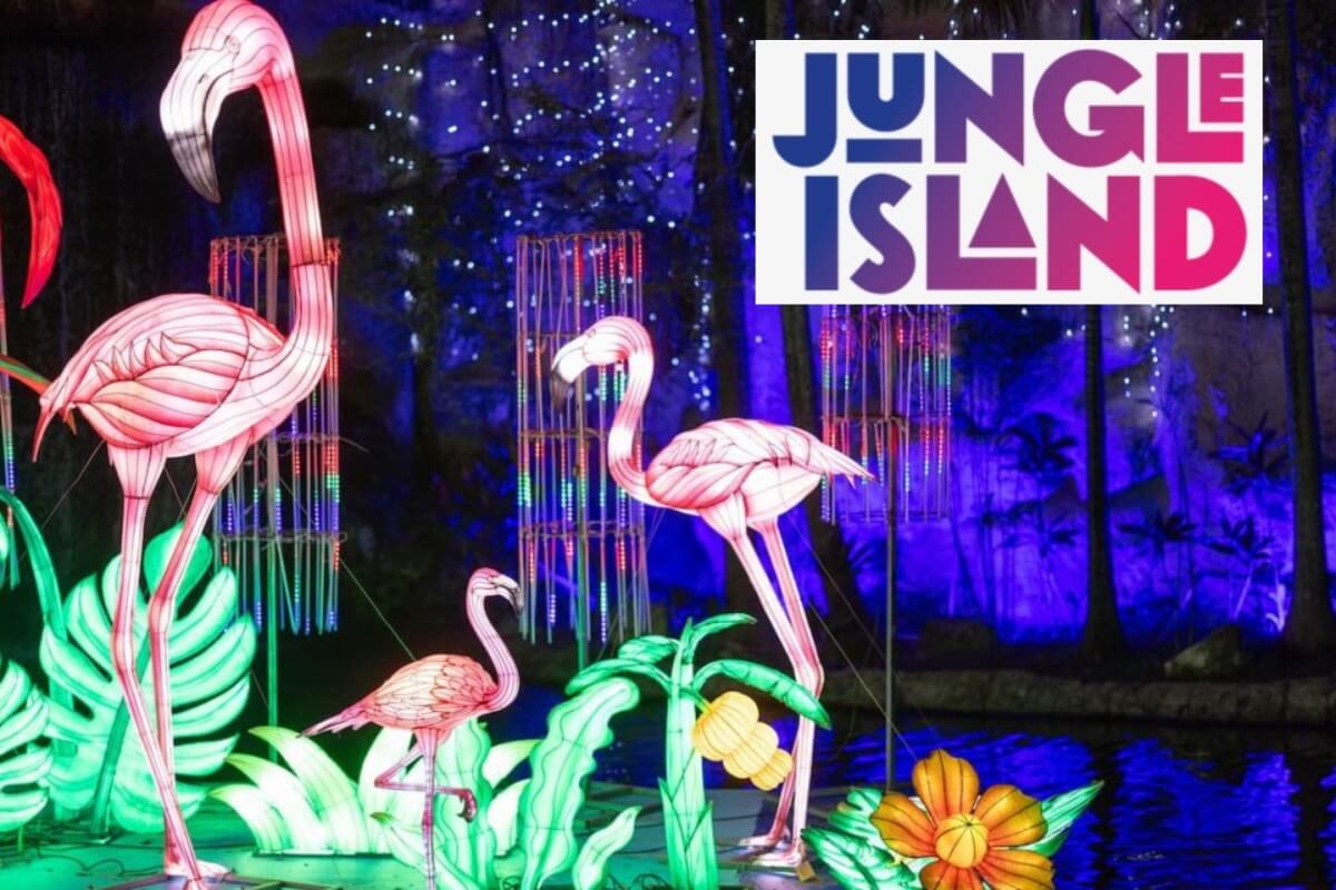 Jungle Island Luminosa Flamingos 2024
